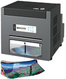 Shinko CHCS1245 Professional Printer
